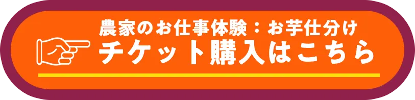 お芋仕分けチケット購入はこちら