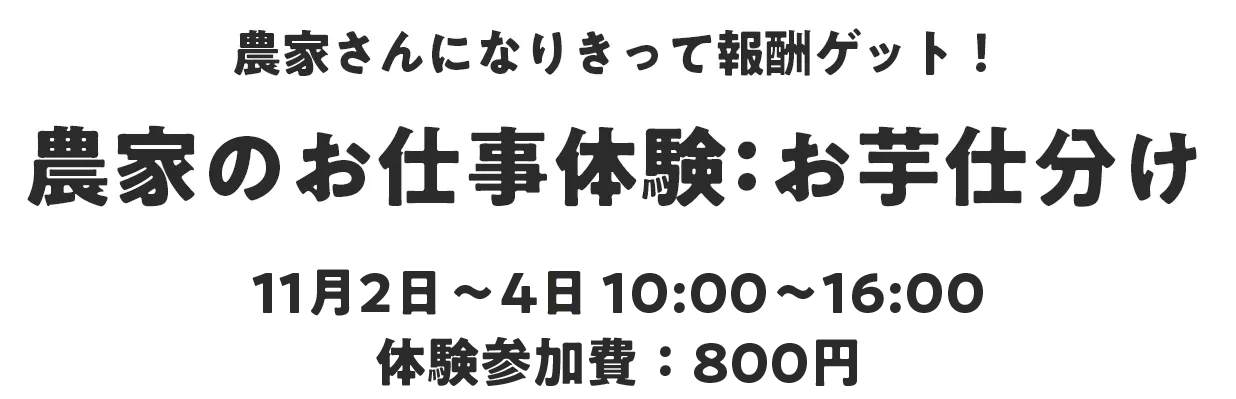 農家さんになりきって報酬ゲット！農家のお仕事体験：お芋仕分け