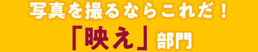 写真を撮るならこれだ！「映え」部門