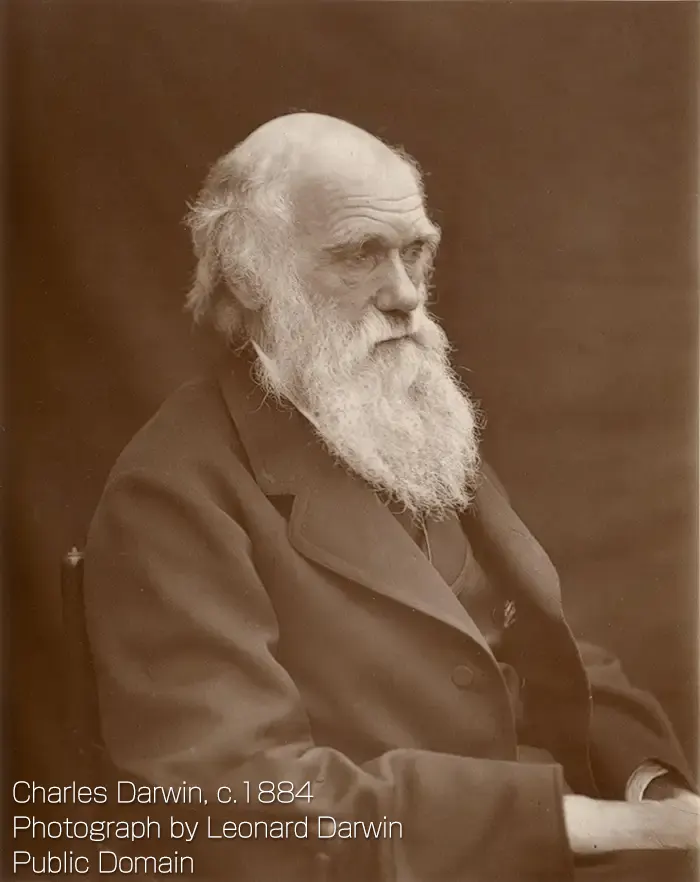 チャールズ・ロバート・ダーウィン