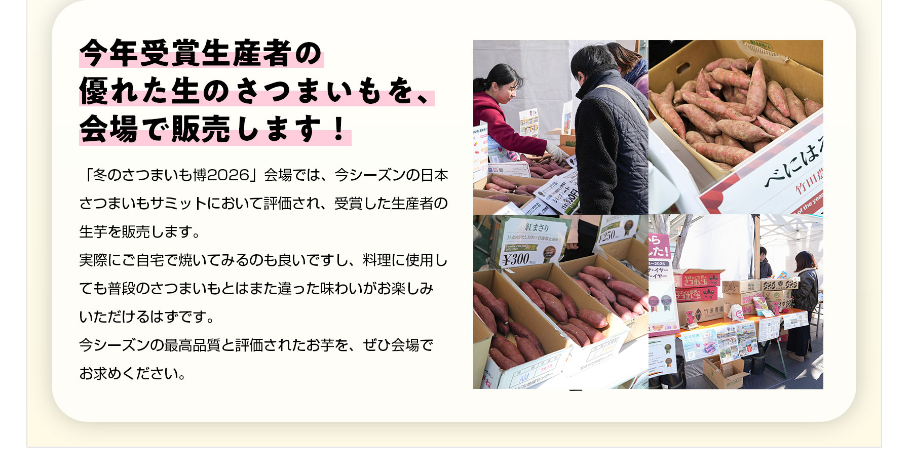 今年受賞生産者の優れた生のさつまいもを、会場で販売します！「冬のさつまいも博2026」会場では、今シーズンの日本さつまいもサミットにおいて評価され、受賞した生産者の生芋を販売します。実際にご自宅で焼いてみるのも良いですし、料理に使用しても普段のさつまいもとはまた違った味わいがお楽しみいただけるはずです。今シーズンの最高品質と評価されたお芋を、ぜひ会場でお求めください。